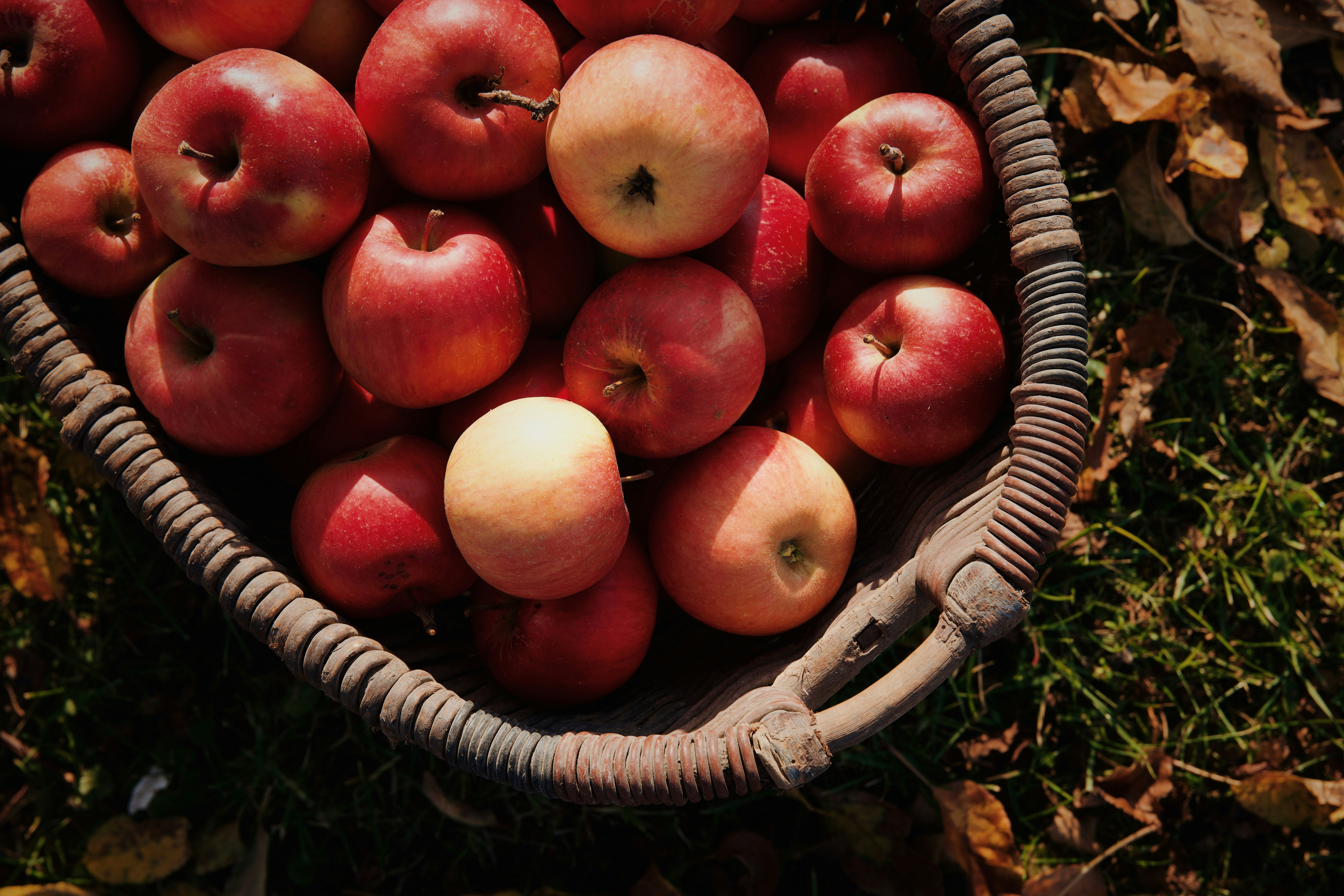 Locally Grown